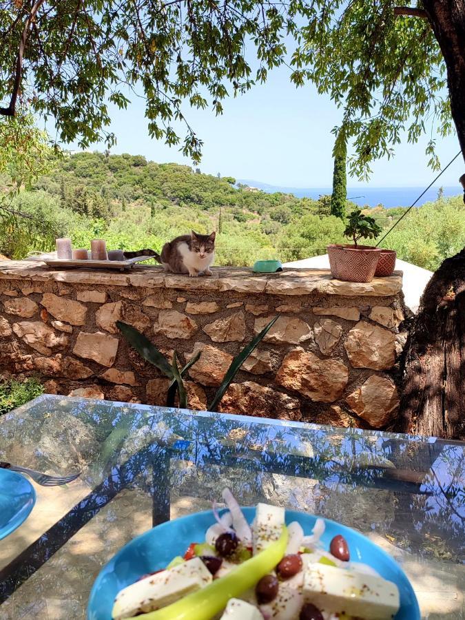 Amygdalo Spiti Villa Agios Nikolaos  Eksteriør billede